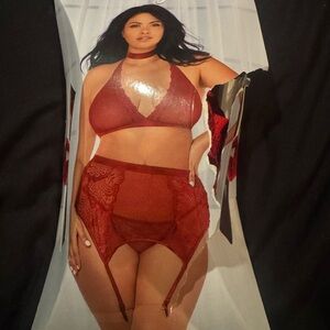 Dreamgirl Red Lace Bra and Garter Set